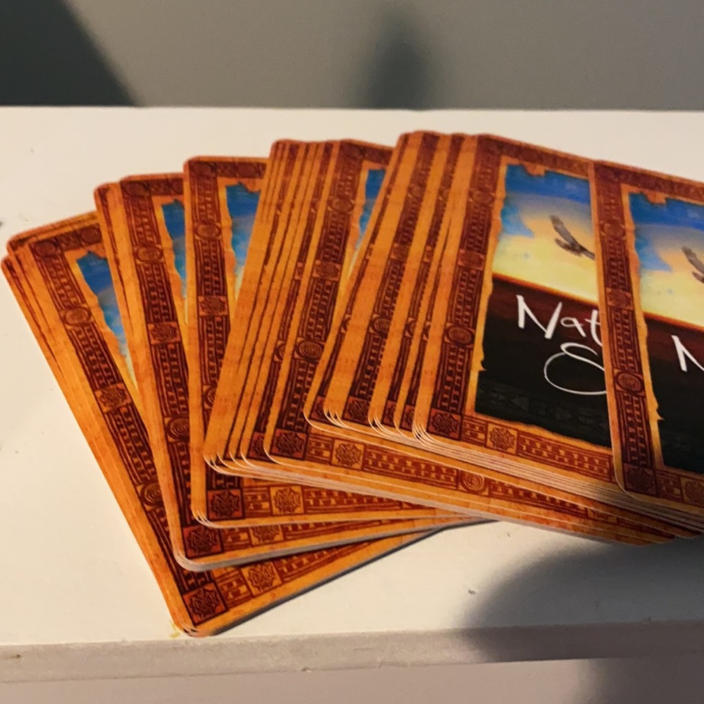 Native Spirit Oracle Cards. 44 Card Deck & Guidebook. - Picture 7 of 10